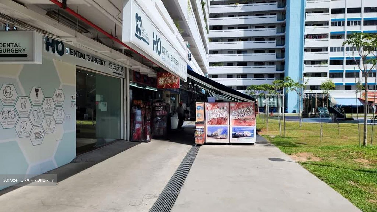 Marine Terrace Haven (D15), Shop House #587076831